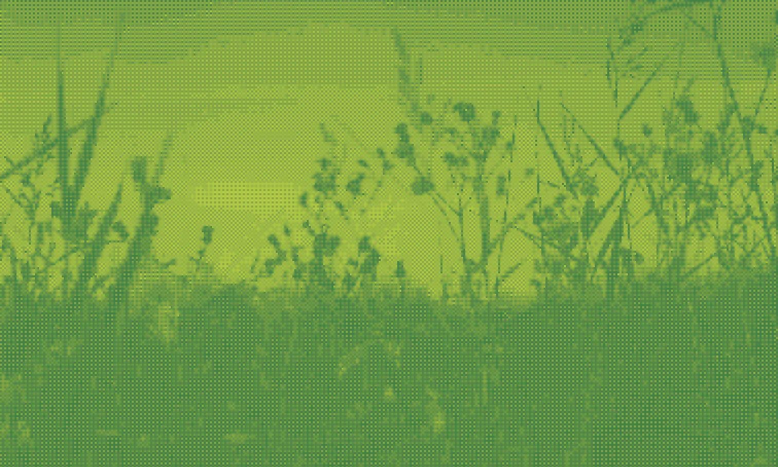 Dithering effect example