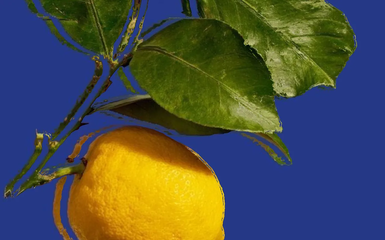 Displacement Map effect example