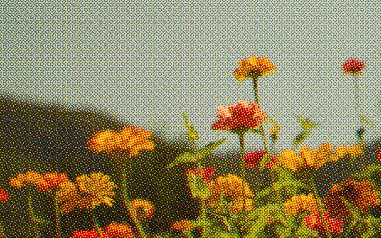 Halftone effect example