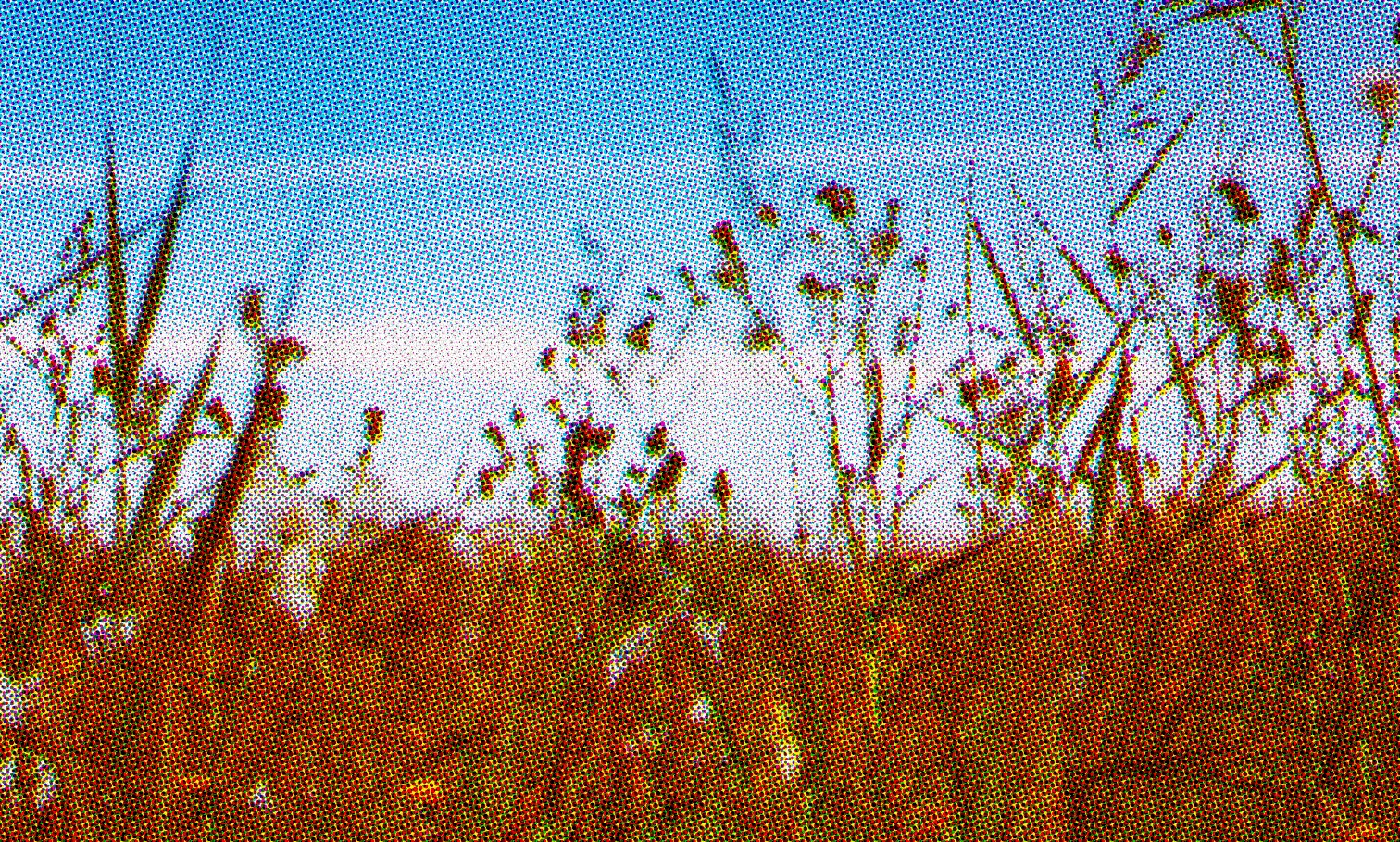 Halftone effect example