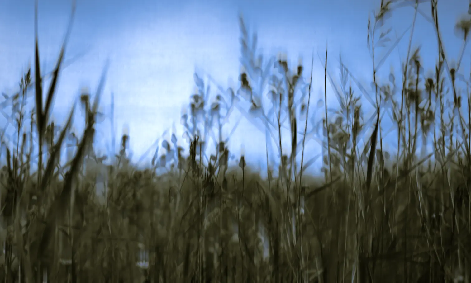 Ink effect example