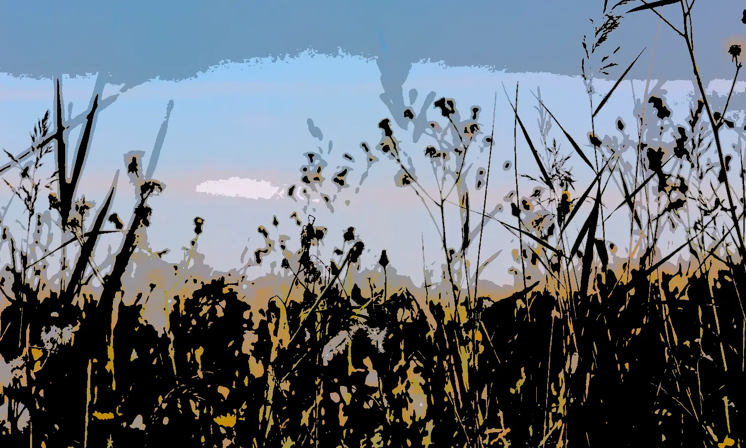 Posterize effect example