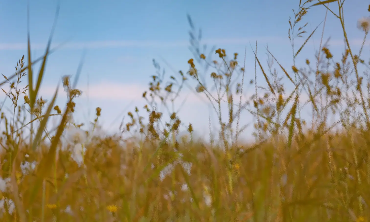Progressive Blur effect example